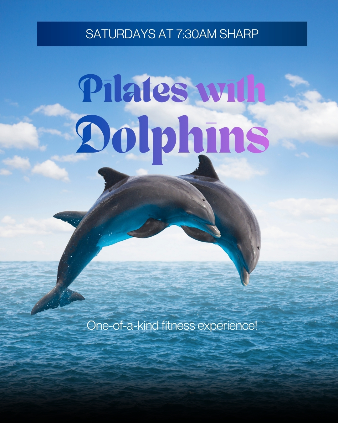 Pilates with Dolphins in Fort Walton Beach at the Gulfarium Event